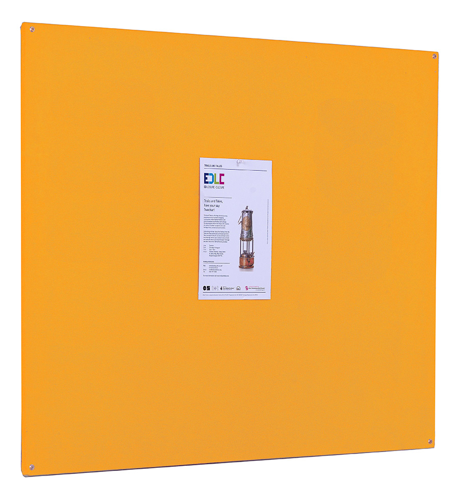 Unframed Fire Rated School Noticeboard in Gold
